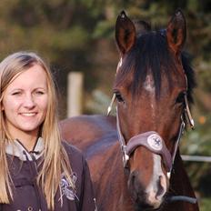 DSP Stidsbjergs Night Whisper