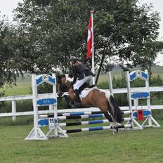 Anden særlig race Color solgt