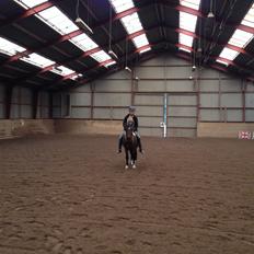 Anden særlig race Bianca