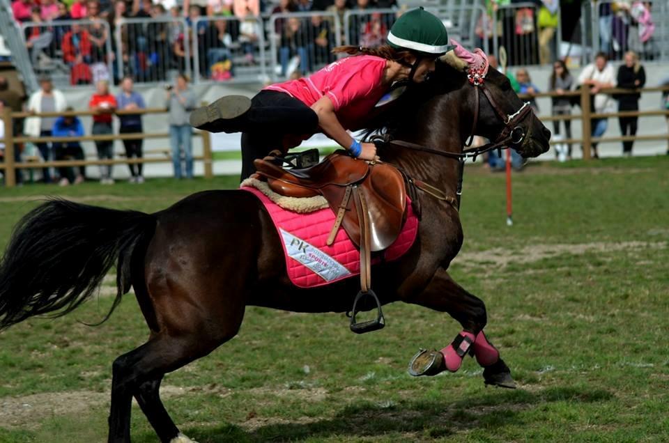 Hollandsk Sportspony Jimmy - DM par 2013 billede 13