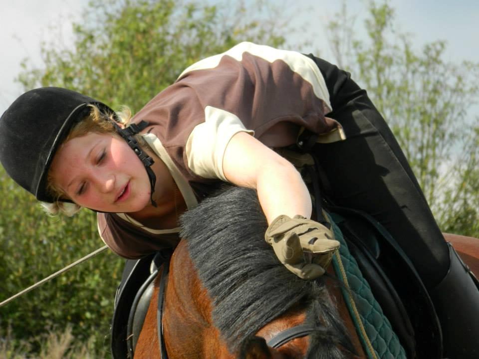 Pinto Figaro Ponygaarden billede 22