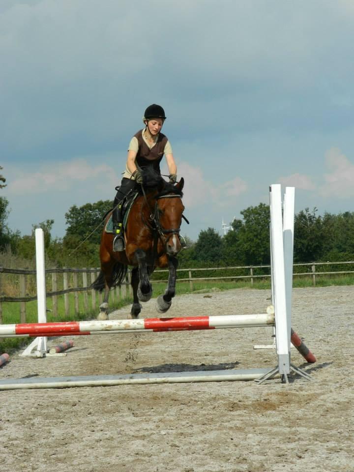 Pinto Figaro Ponygaarden - Så flyver vi... billede 25