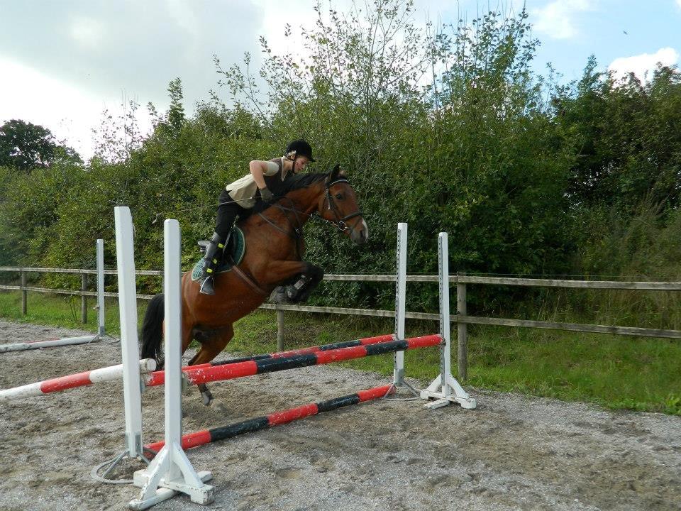 Pinto Figaro Ponygaarden - Okay... hvis jeg skal... billede 28