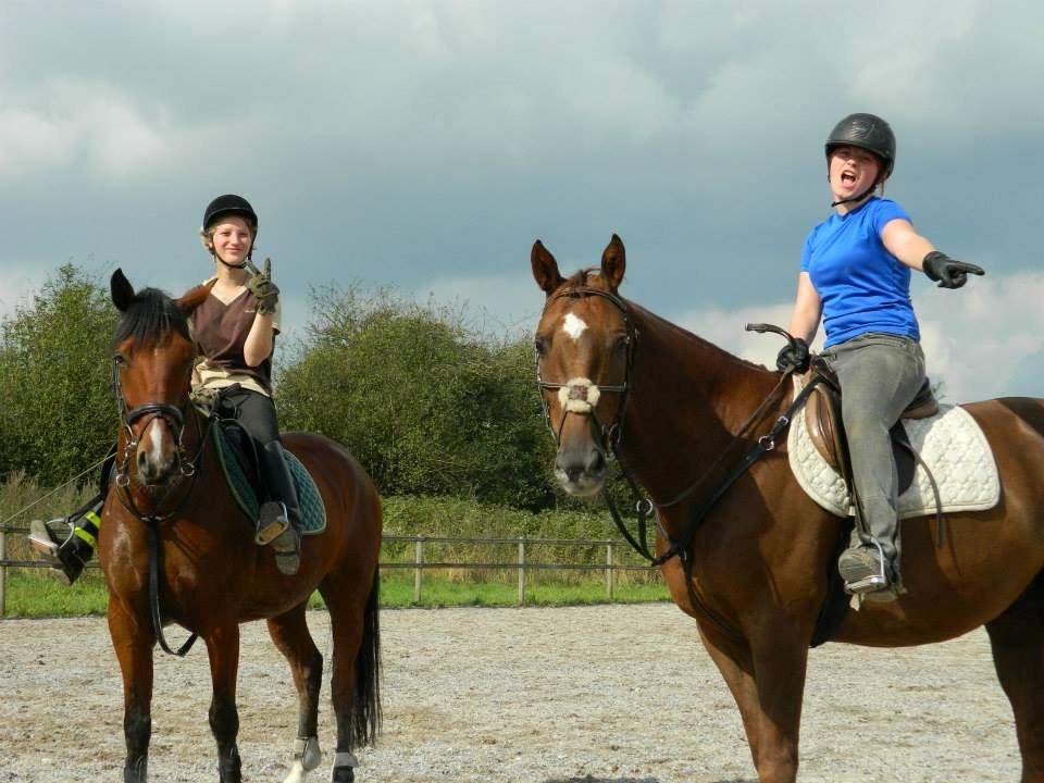 Pinto Figaro Ponygaarden billede 31