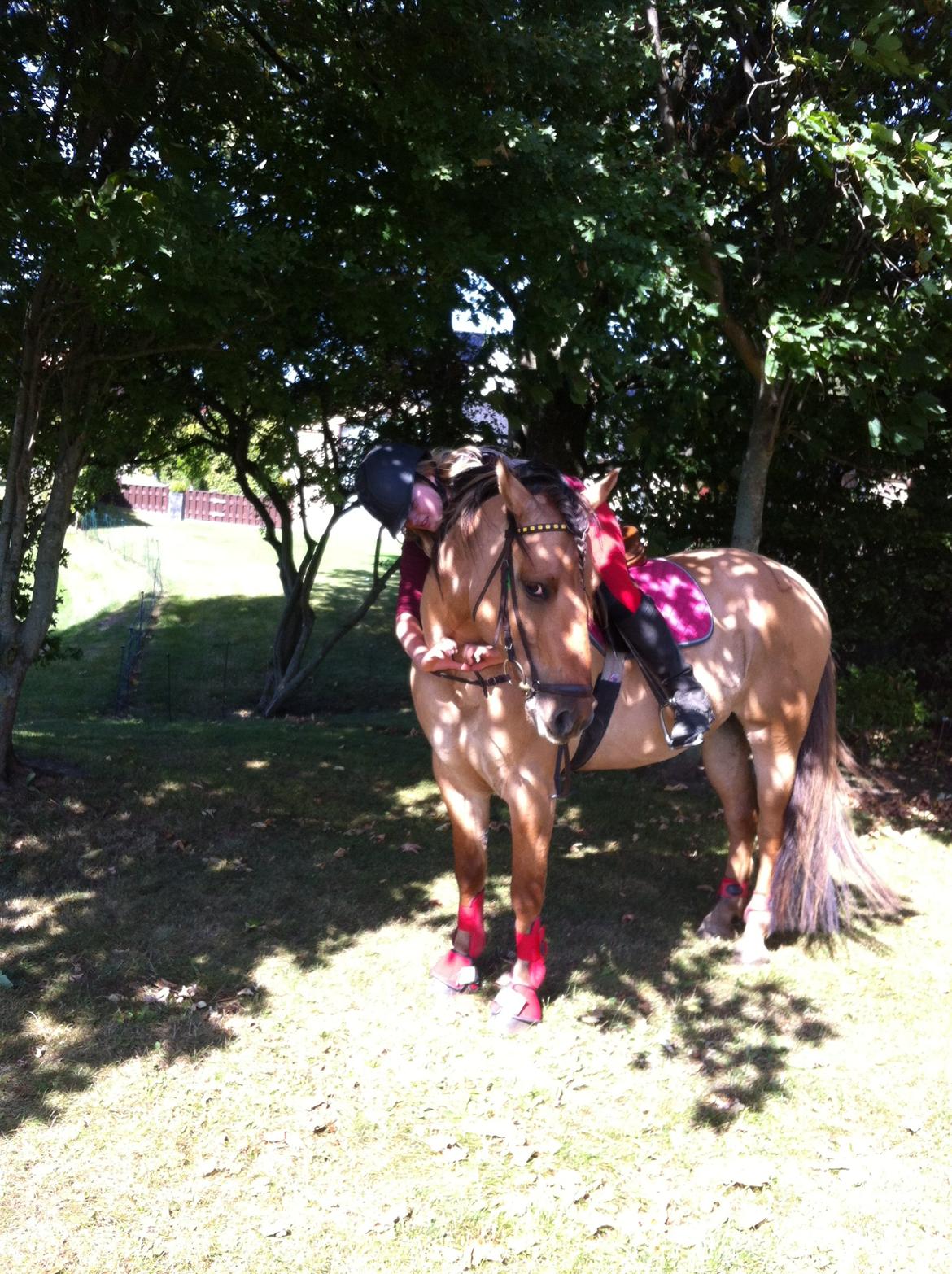 Anden særlig race Dumbledore  - You are seriously my everything!! <3 <3 billede 2