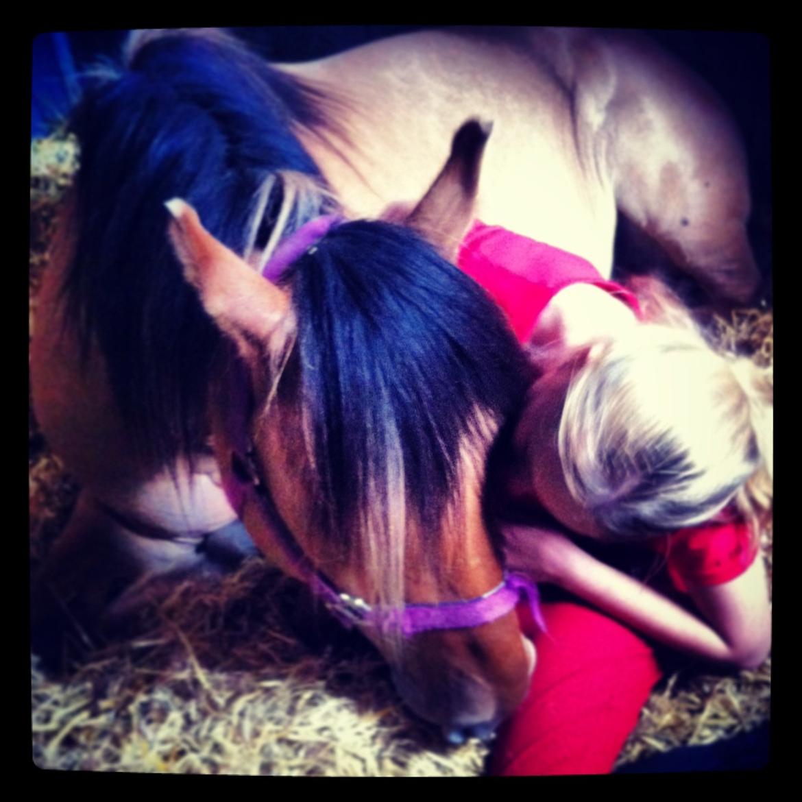 Anden særlig race Dumbledore  - Because of you, I love you!! <3 <3 billede 1