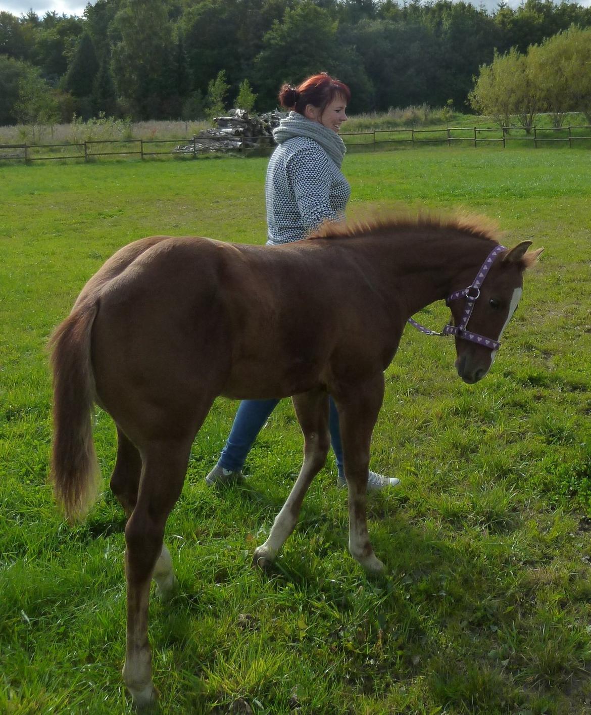 Quarter Slowmovin Hot Fudge billede 16