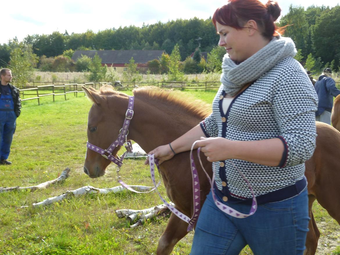 Quarter Slowmovin Hot Fudge billede 19