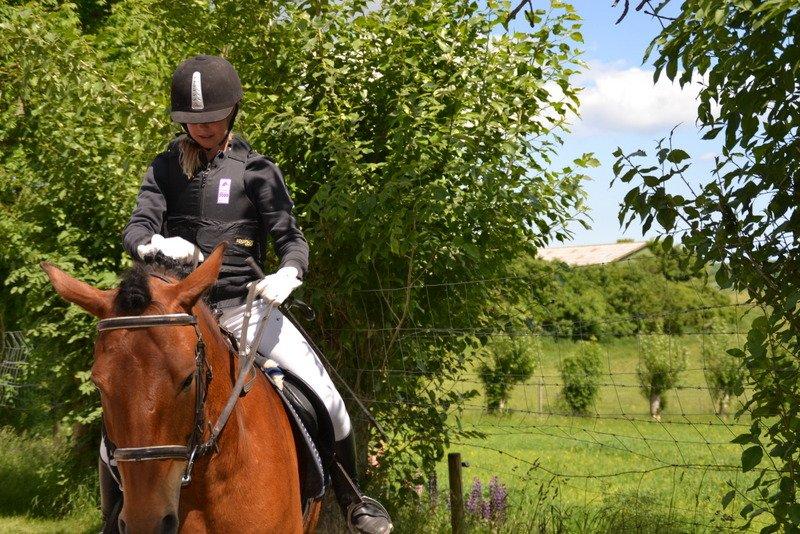 Svensk Sportspony  Sparkle (gnistre på Engelsk) billede 4