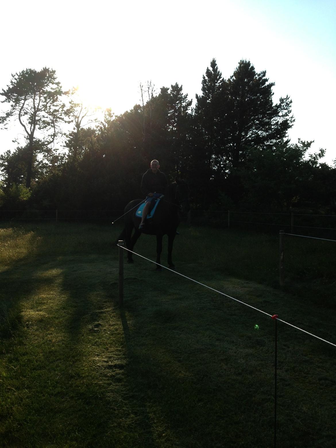 Anden særlig race lindholms black solgt billede 15