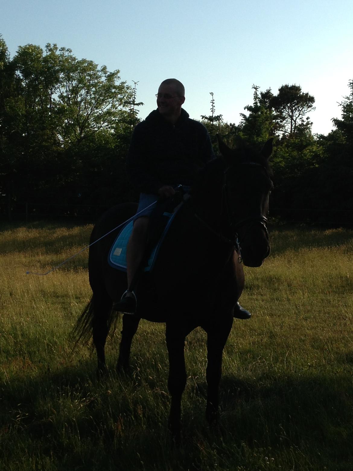 Anden særlig race lindholms black solgt billede 18