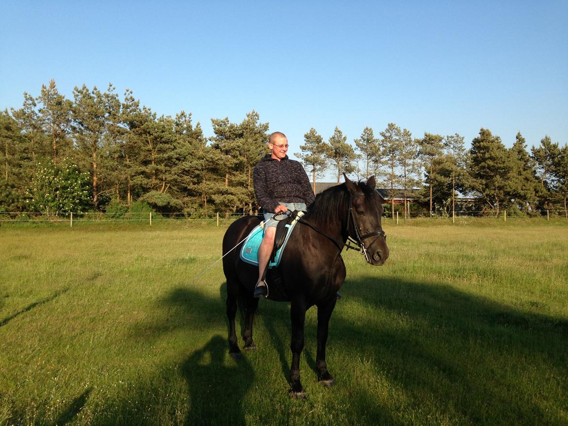 Anden særlig race lindholms black solgt billede 19