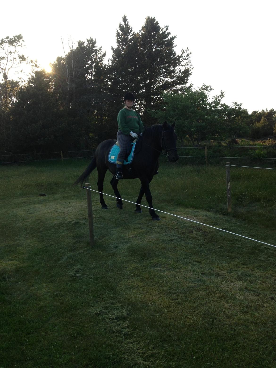 Anden særlig race lindholms black solgt - vi øver ringeridning
første gang han skal prøve det billede 21