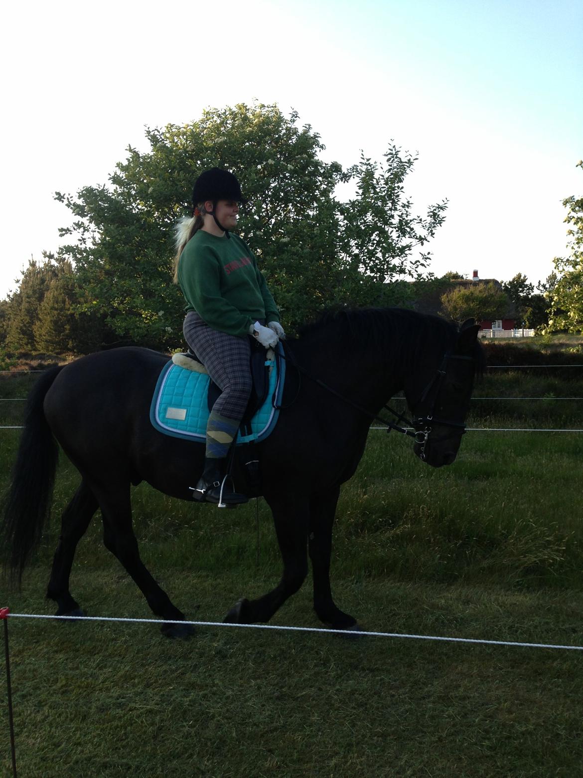 Anden særlig race lindholms black solgt billede 23