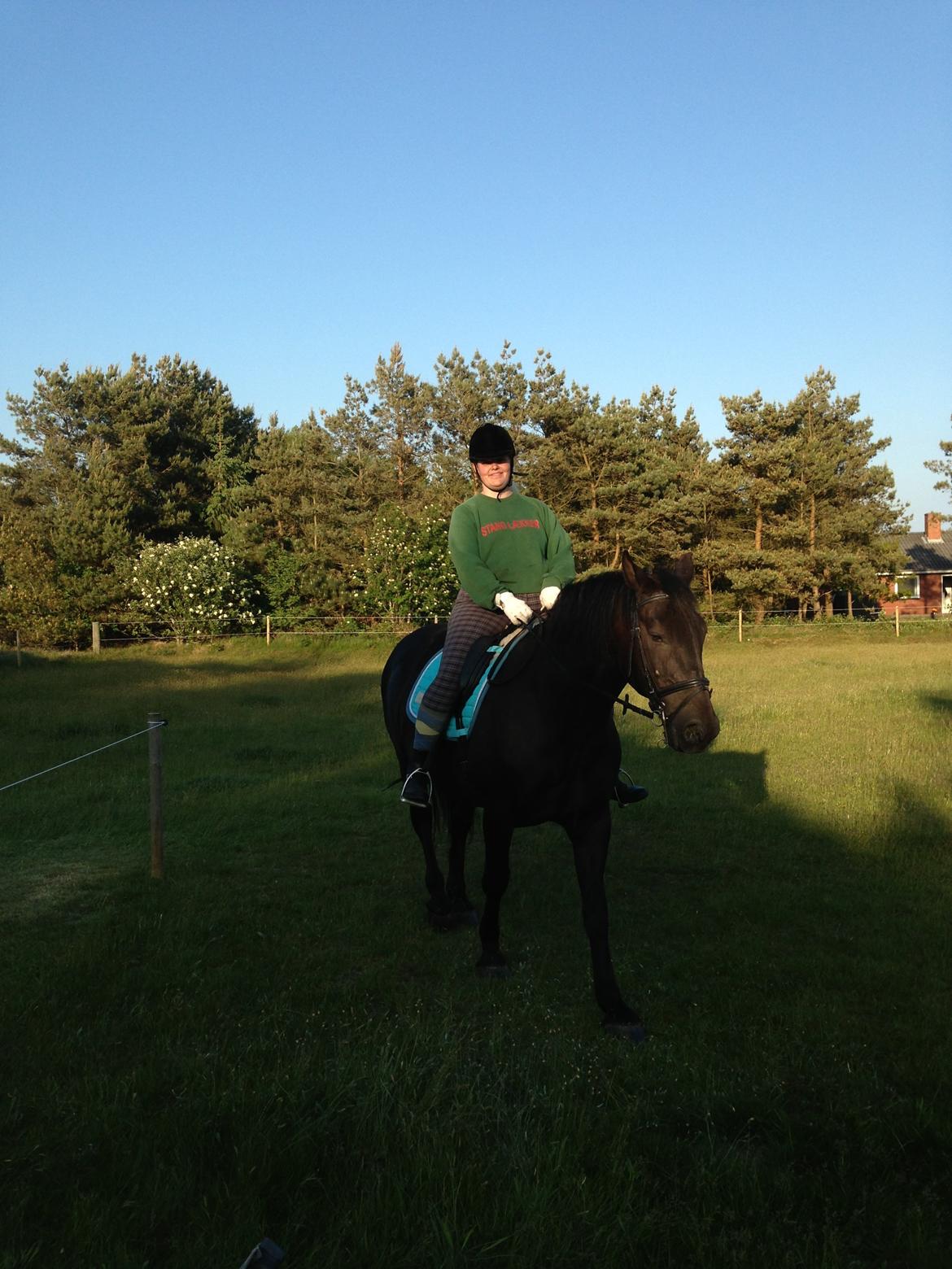 Anden særlig race lindholms black solgt billede 28