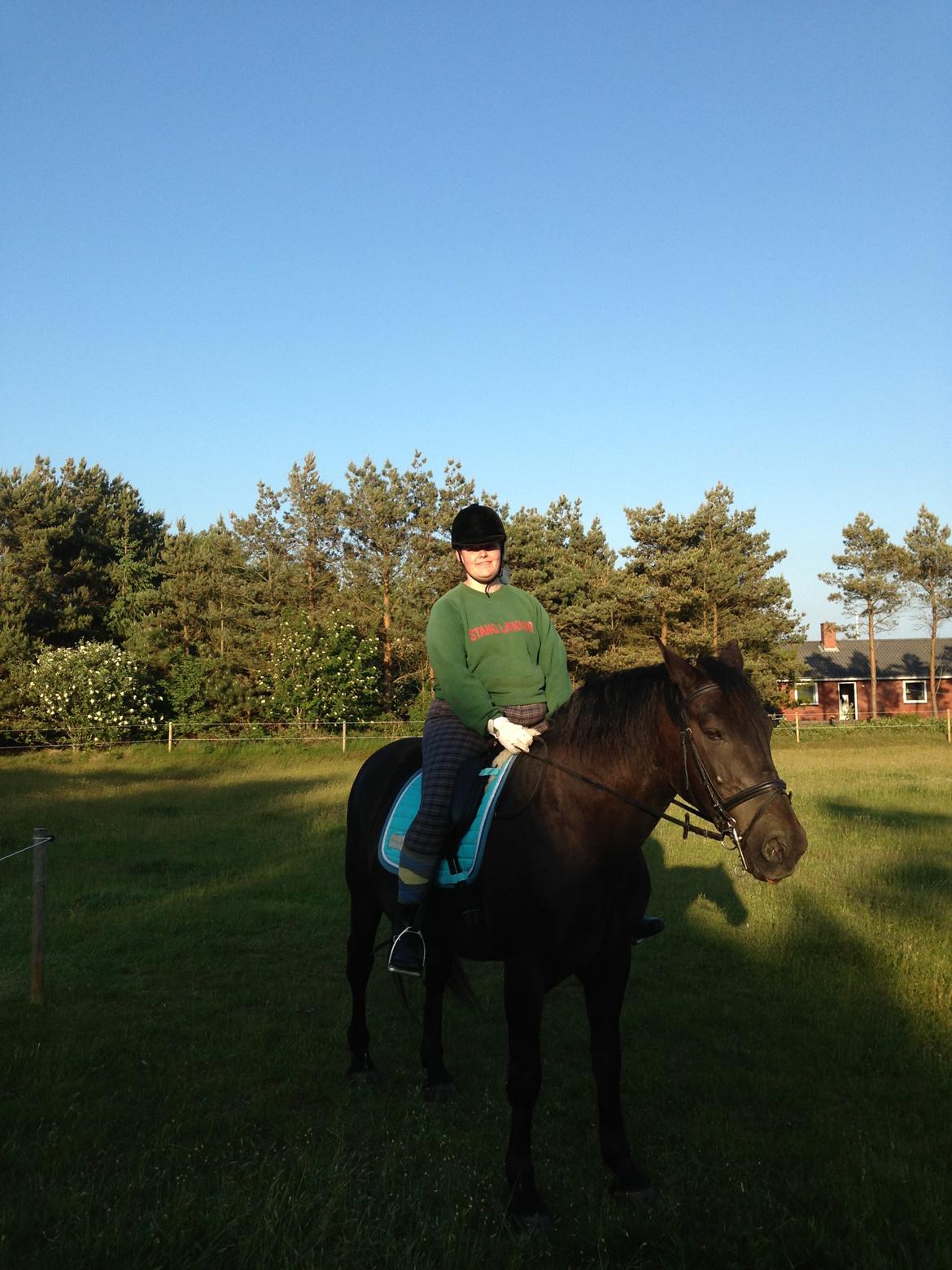 Anden særlig race lindholms black solgt billede 29