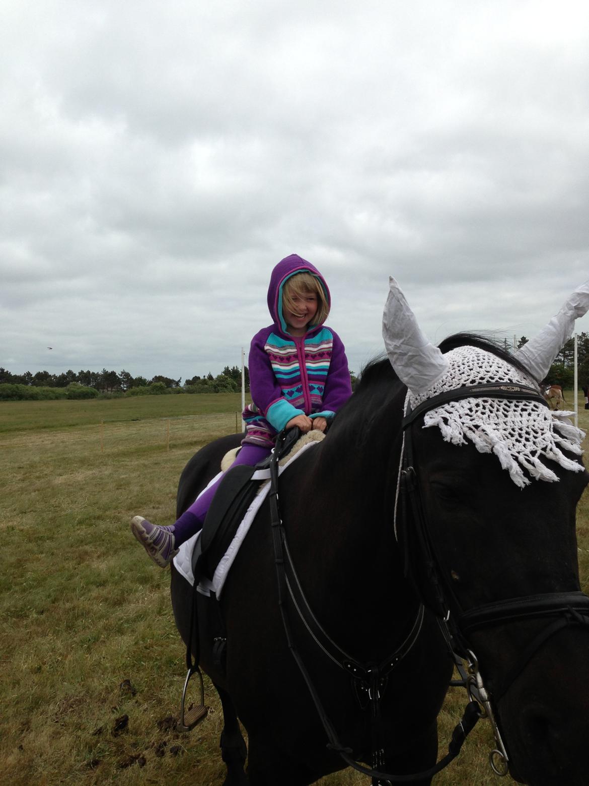 Anden særlig race lindholms black solgt - min kærestes niece oppe at side på ham for første gang  billede 30