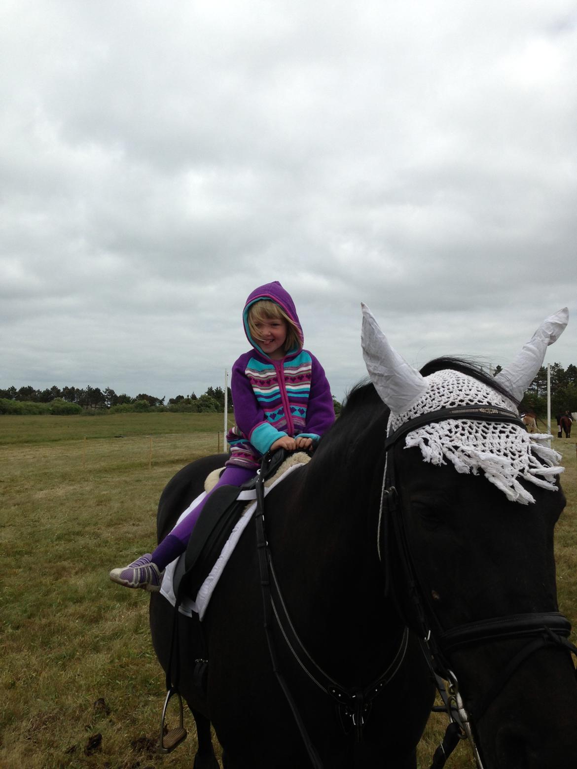 Anden særlig race lindholms black solgt billede 31