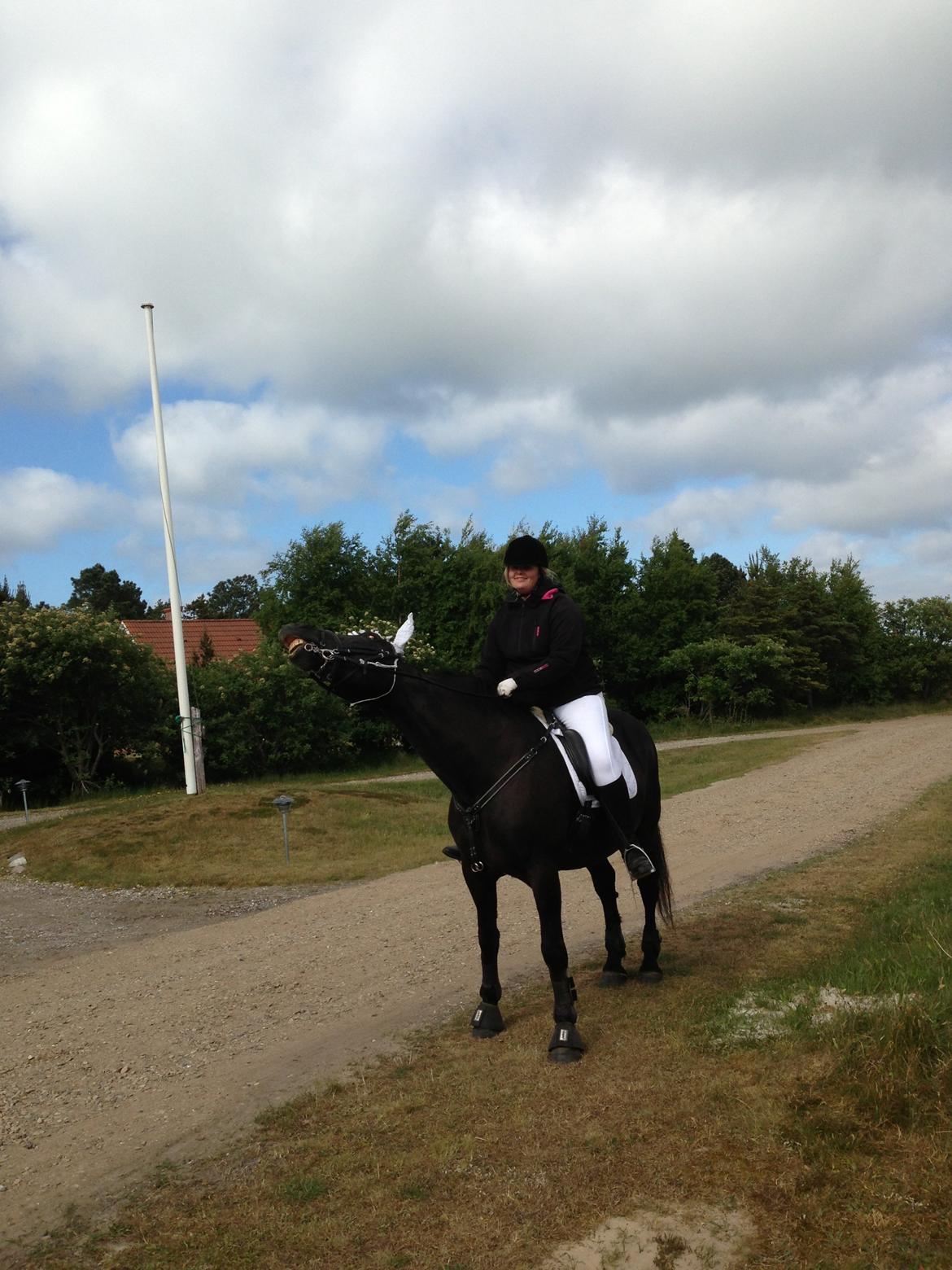 Anden særlig race lindholms black solgt - han er totalt færdig for i dag billede 42