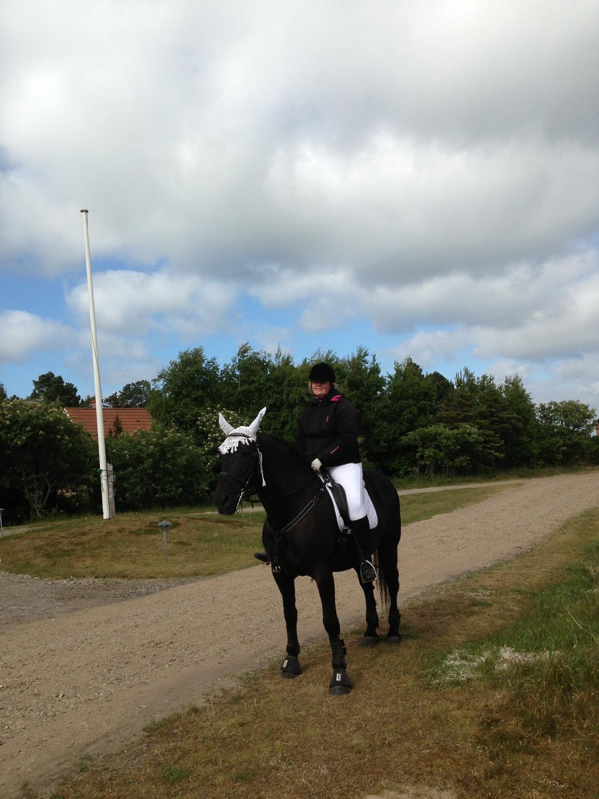 Anden særlig race lindholms black solgt billede 43