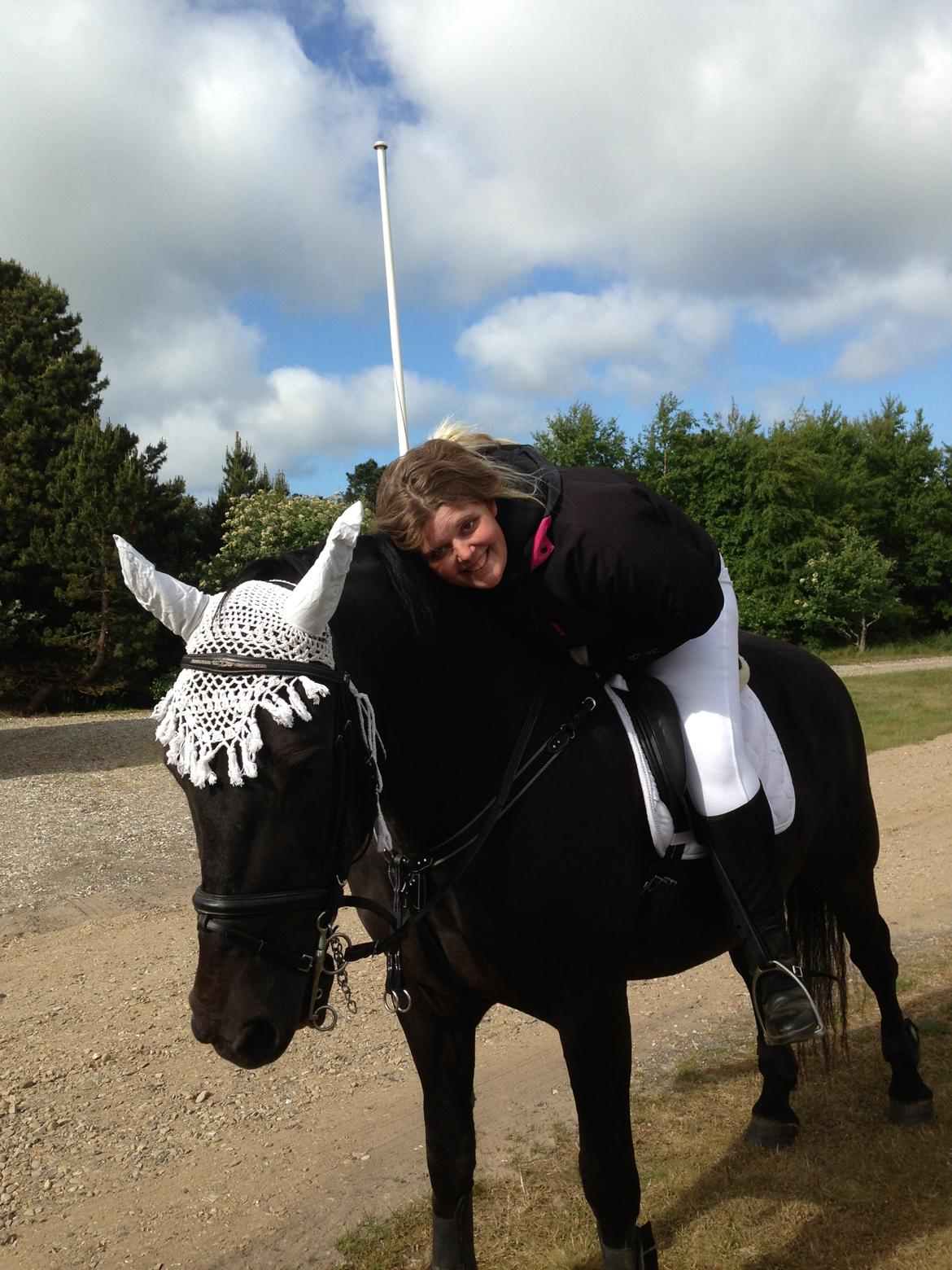 Anden særlig race lindholms black solgt - elsker den hest, han gjorde det bare så godt ikke bange for noget og gjorde hvad der blev sagt. ikke hans skyld at det ikke blev til flere ringe billede 45