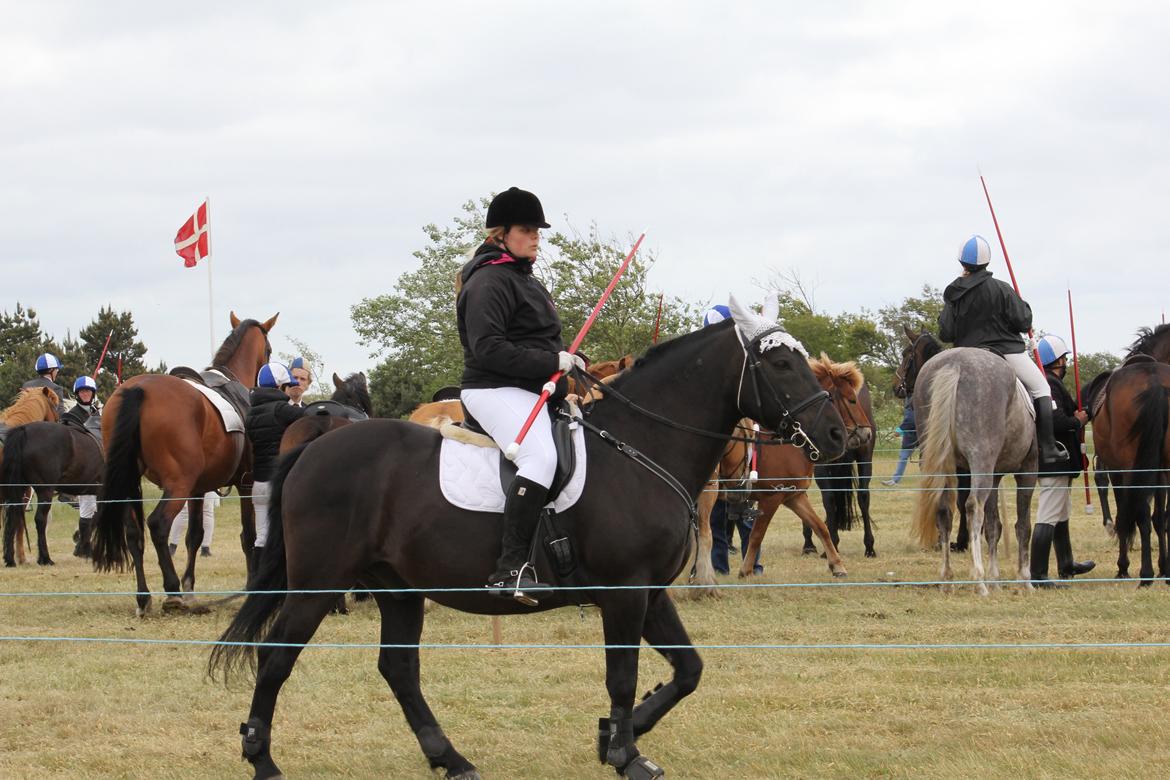 Anden særlig race lindholms black solgt billede 35