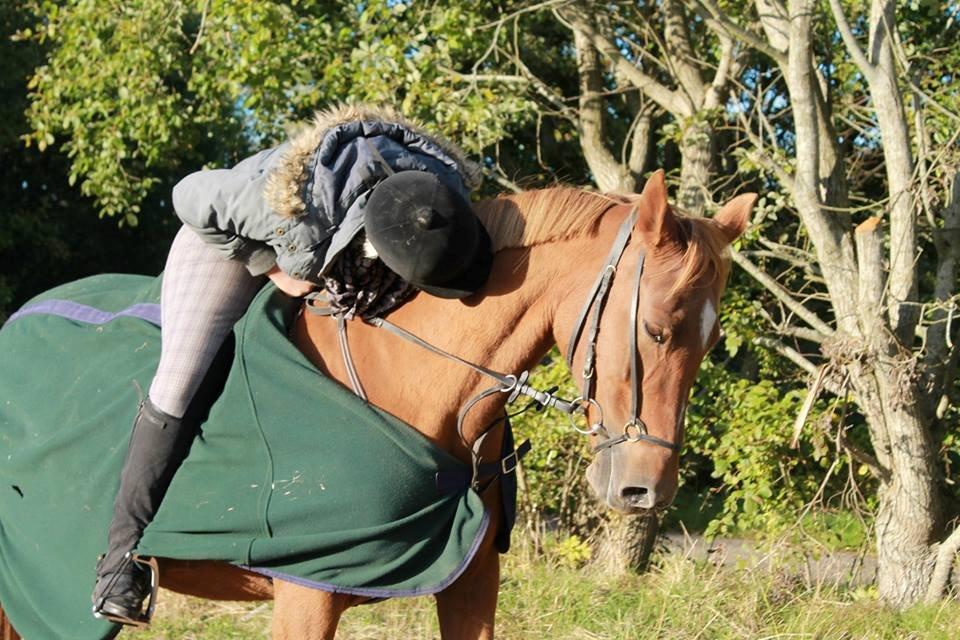 Anden særlig race Queen billede 6