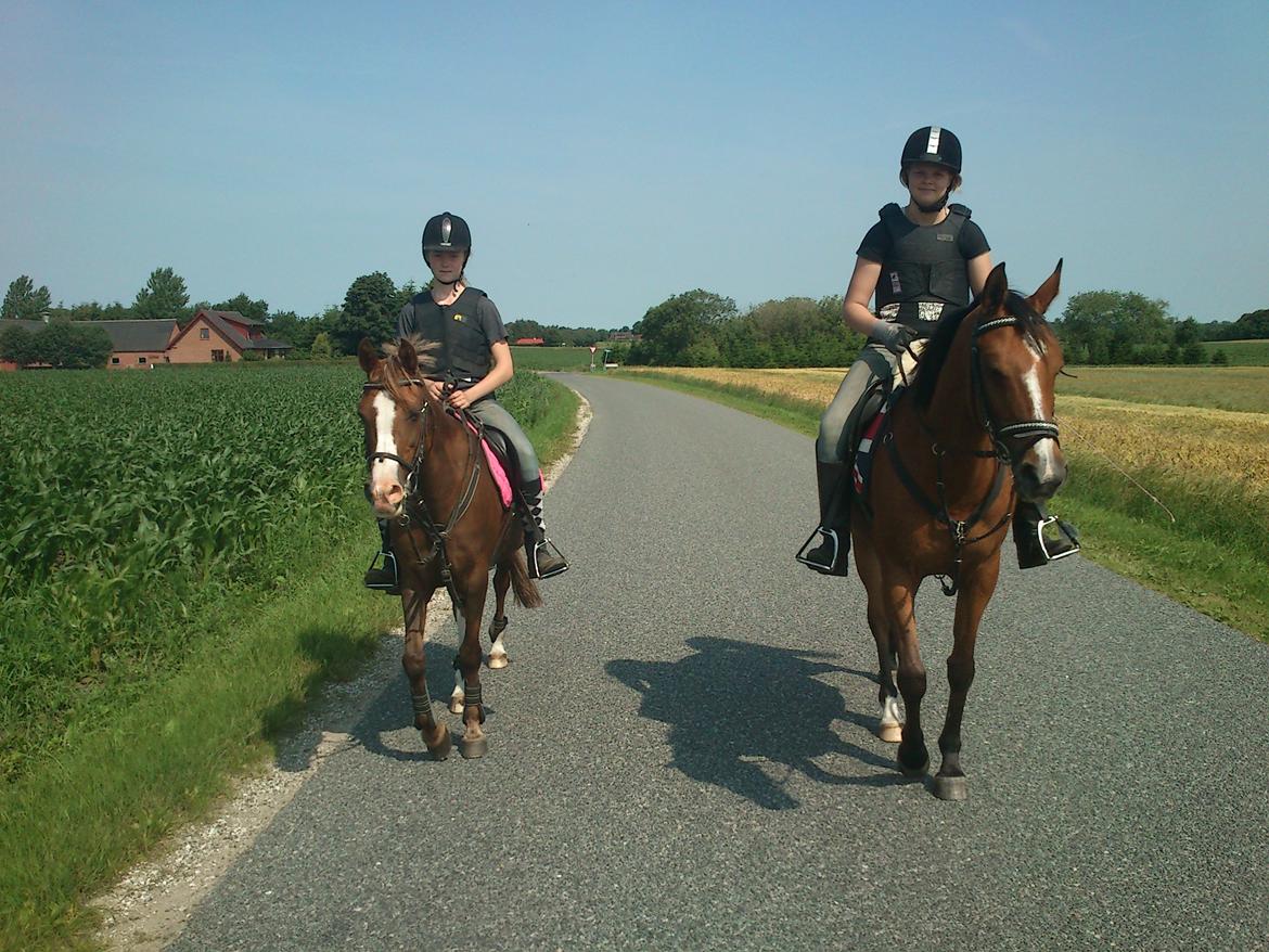 Anden særlig race Vestergårds La Foxy billede 24