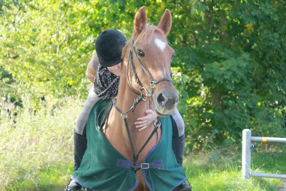 Anden særlig race Queen billede 14