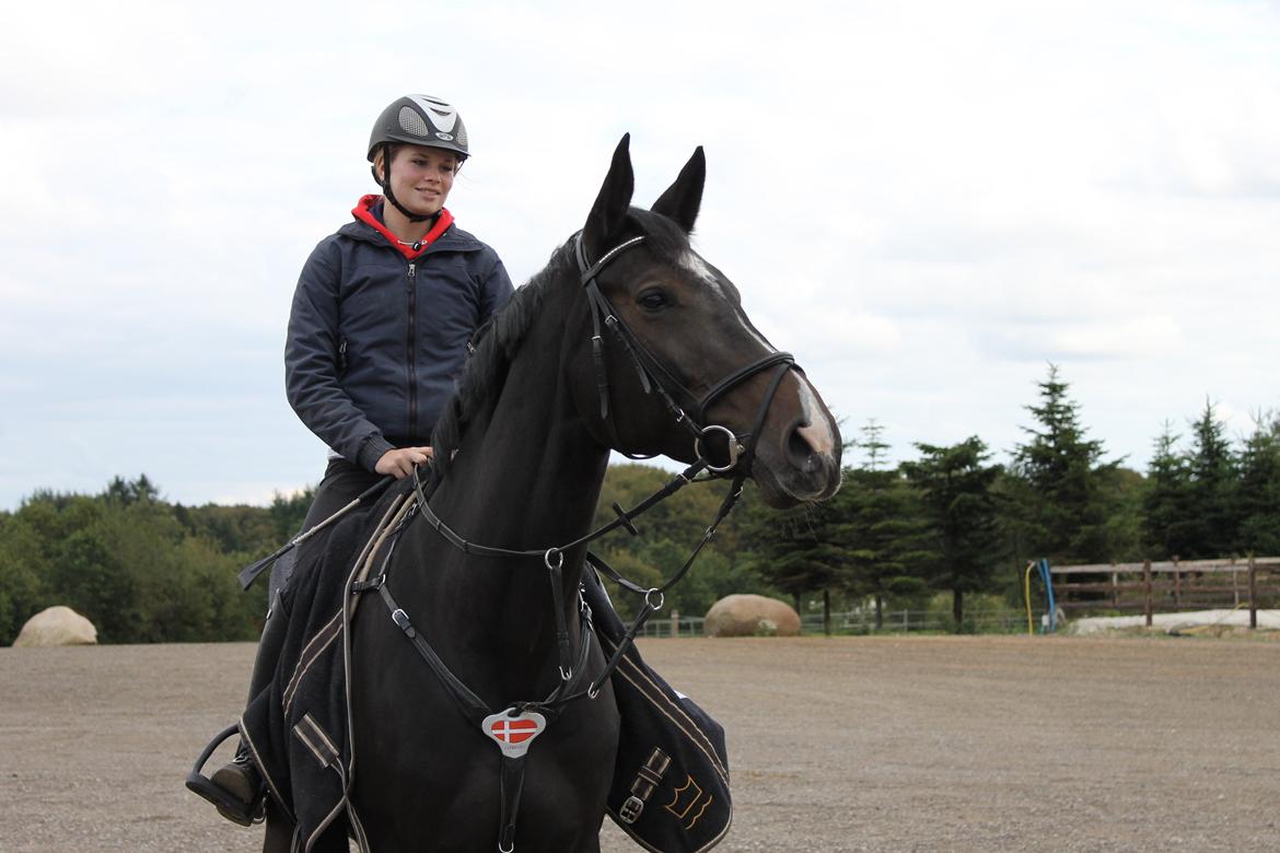Hannoveraner Come Up 2 - Til banetræning på Bækgaarden - prinsesse :-) billede 4