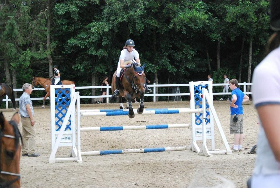 Svensk Varmblod A-tack (SWE) billede 14