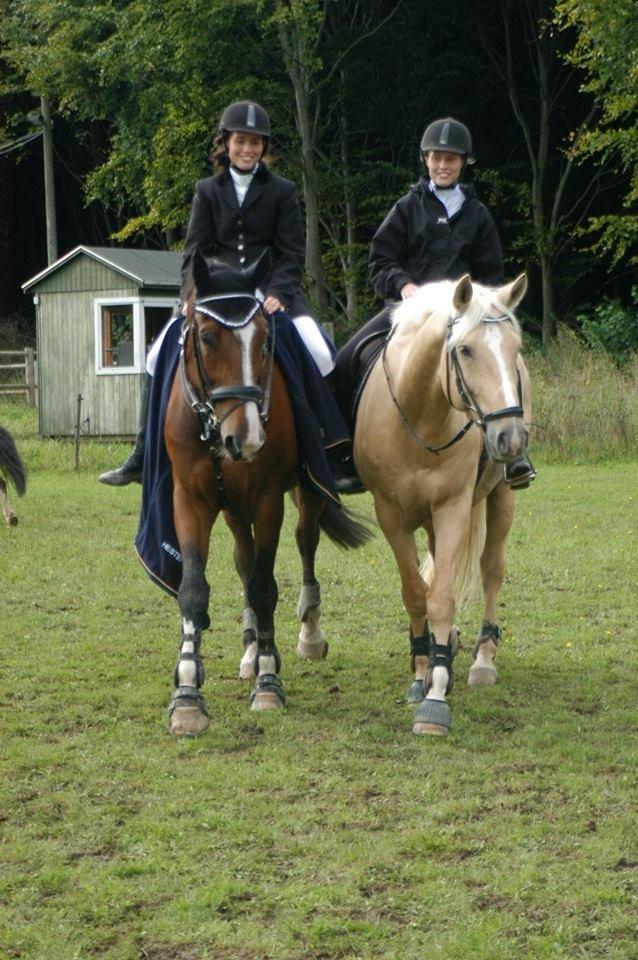 Palomino Marielunds gold melodyboy - Golden og Verdi <3 billede 23