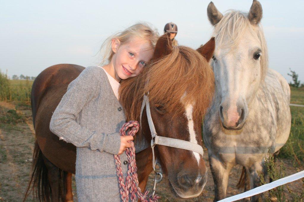 Shetlænder Mona - Sikke meget glæde vi har af dig lille hest billede 1