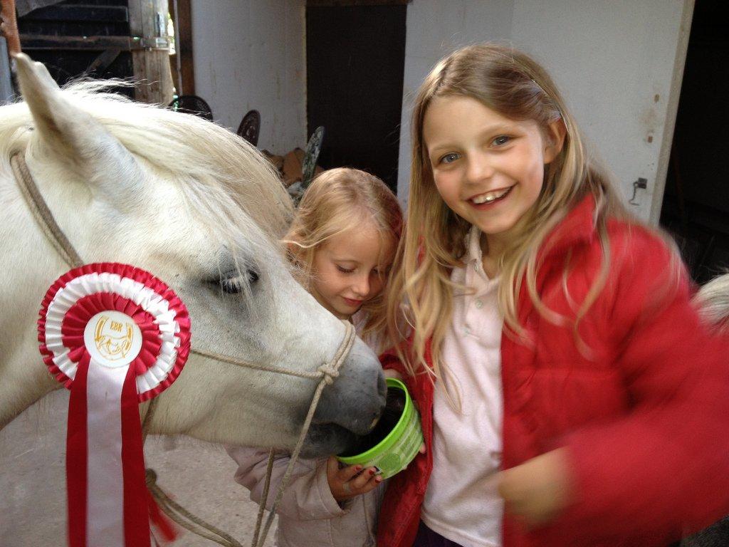 Welsh Mountain (sec A) Cirkus, født 14. juni - Cirkus har fødselsdag  billede 18