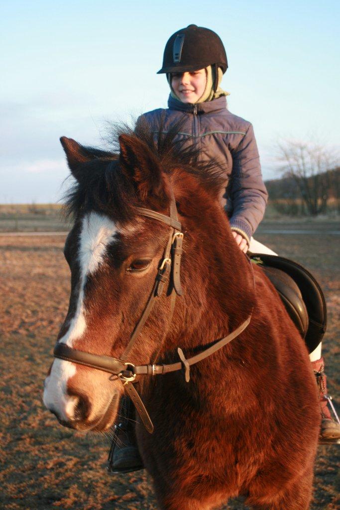 New Forest La Fayette Skovly billede 10