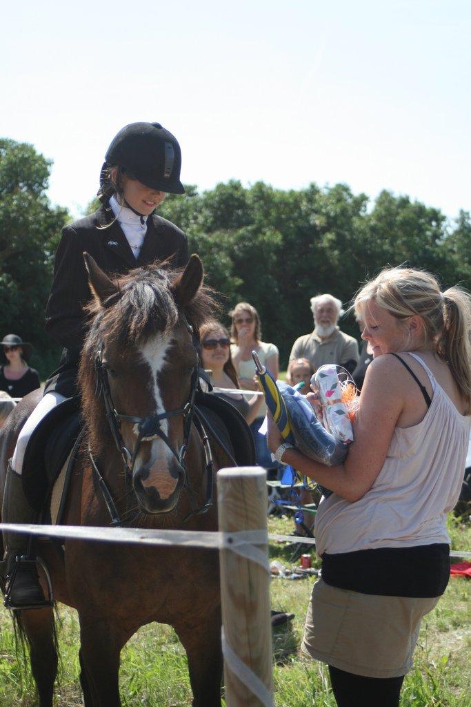 New Forest La Fayette Skovly - Præmie overrækkelse til Ringridderstævne 2013 3 plads billede 15