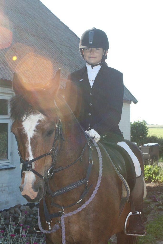 New Forest La Fayette Skovly billede 14