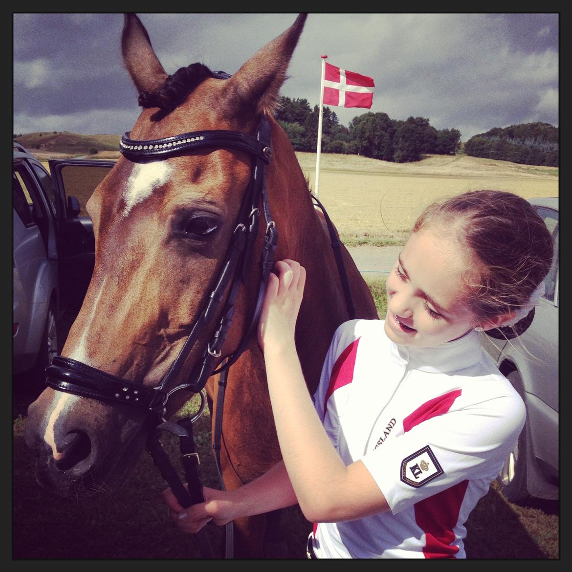 New Forest Orchid's Sheila B-pony billede 16