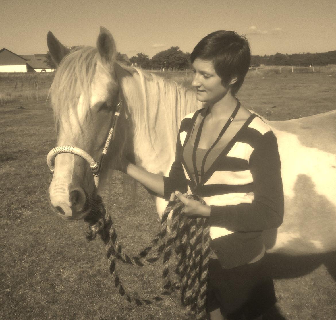Irish Cob Crossbreed Ryttergaarden's Jiya (tidl. Tøsen) - Smukke og jeg på Kalø August 2013 billede 12