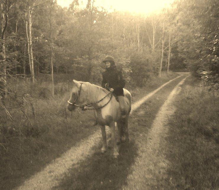 Irish Cob Crossbreed Ryttergaarden's Jiya (tidl. Tøsen) - Vores første ridetur i naturen<3 Kalø 2. Oktober 2013 billede 13