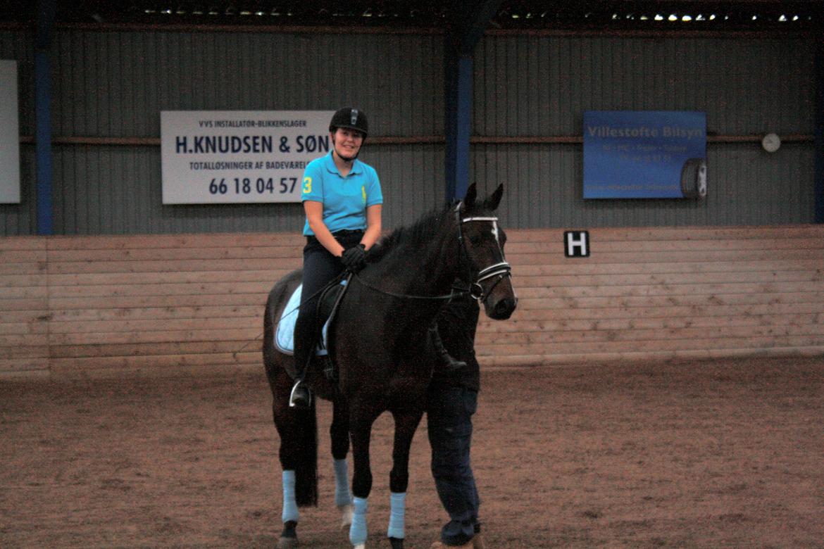 Dansk Varmblod Di Gio billede 5