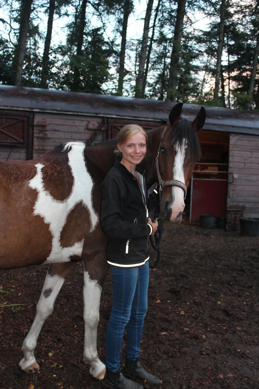 Pinto Pride billede 2