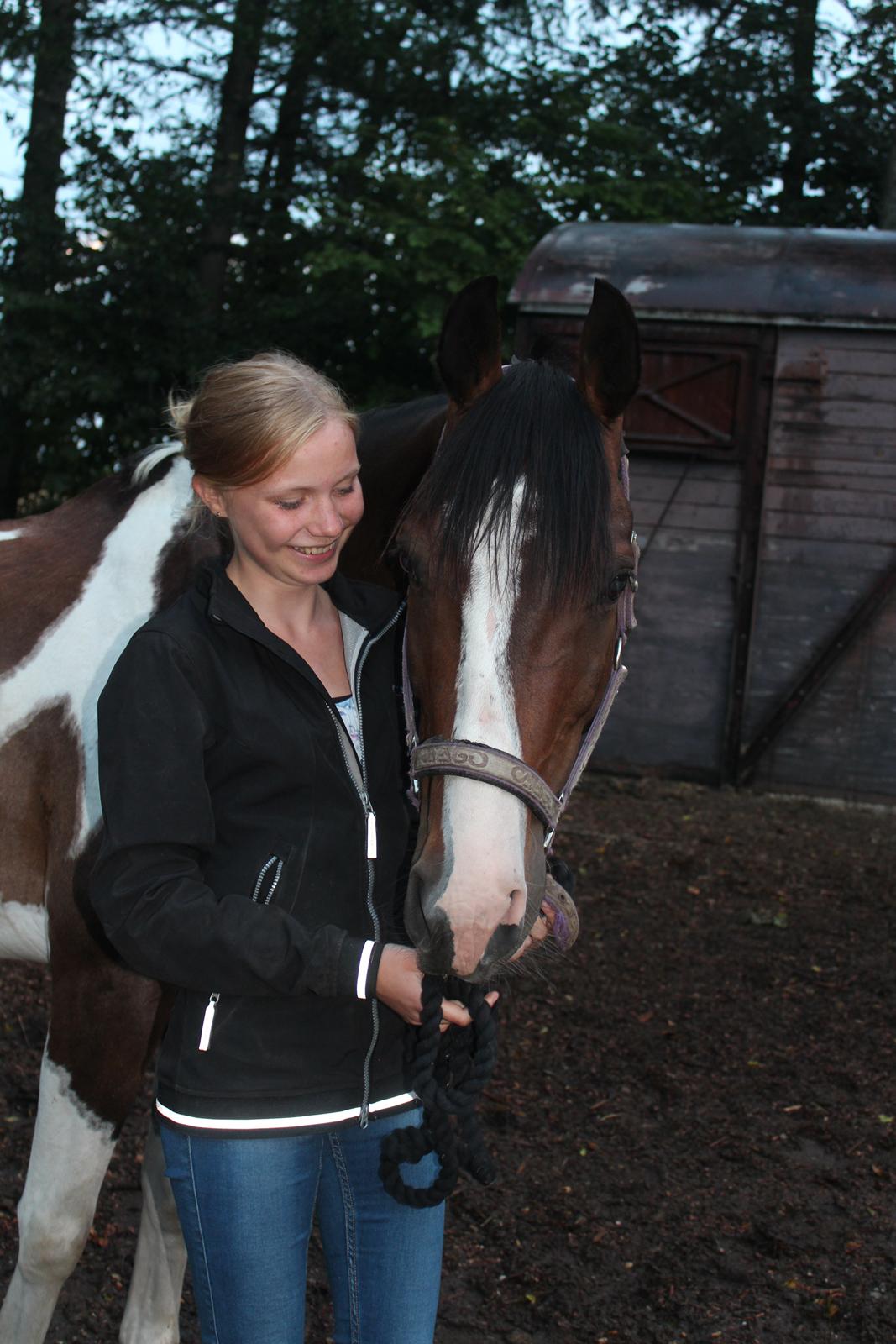 Pinto Pride billede 1