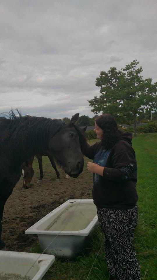 Frieser tjerk billede 6