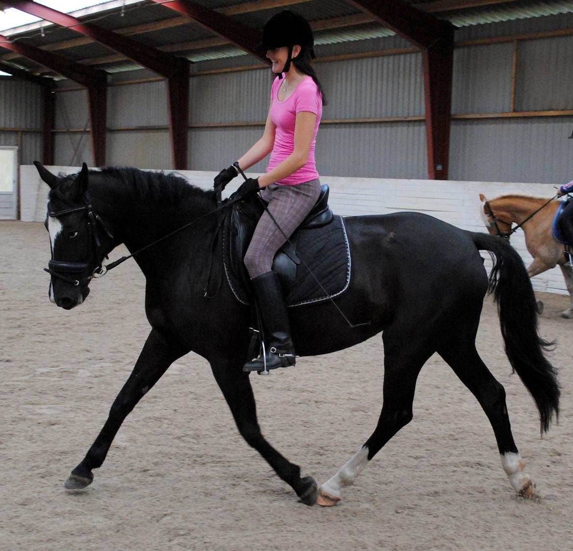 Anden særlig race Beauty "BÆSTET"  <3 billede 18