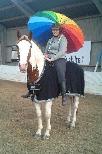 Pinto Nikolaj af Dutterup billede 17