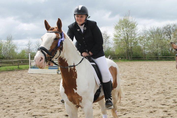 Pinto Nikolaj af Dutterup billede 20