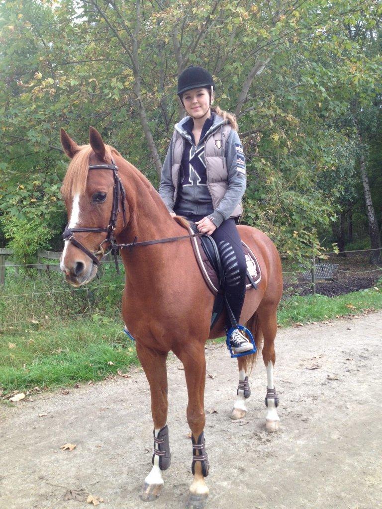 DSP Lintrupgaard Cavito billede 21