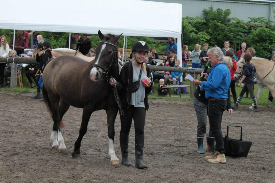Anden særlig race Solly - Vinder ting og sager, once again billede 14
