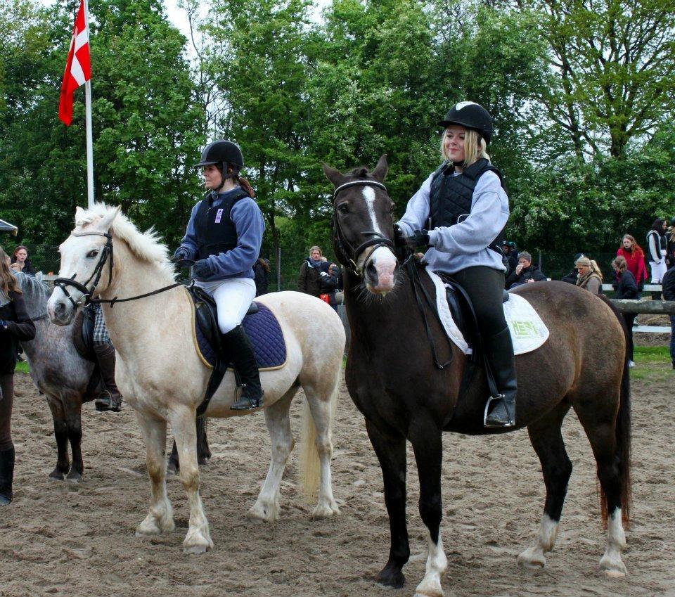 Anden særlig race Solly - Vandt en 2. plads i Klubbernesdags 70. klasse 2012 <3 Søde Oswald ved siden af billede 18